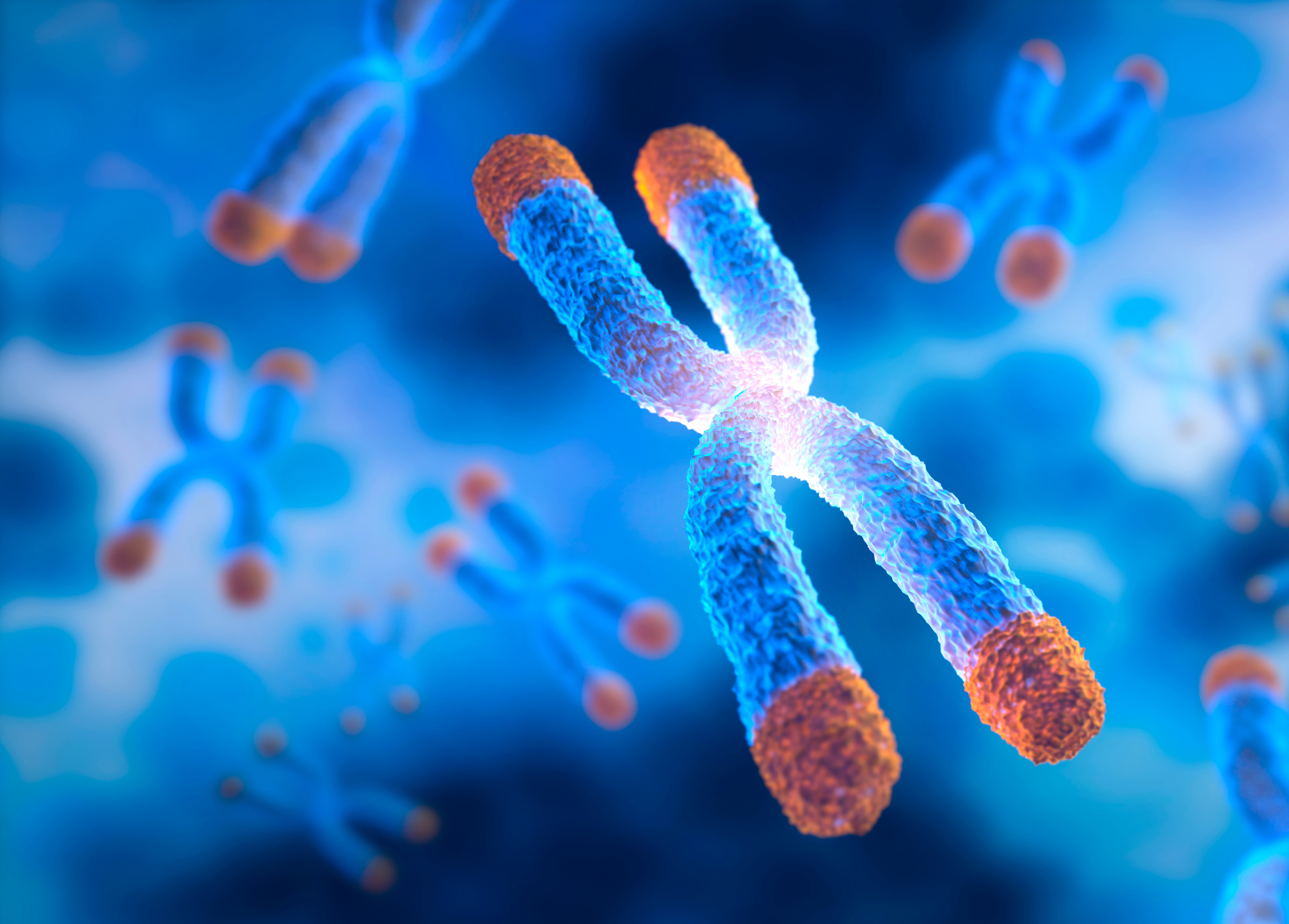 Spektakulär: Das Enzym der Lebensverlängerung.